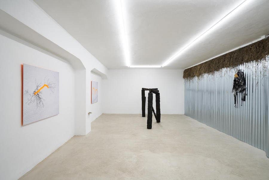 art land